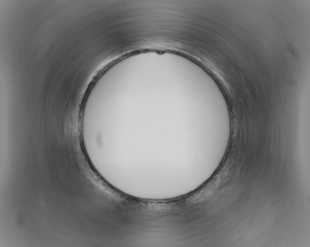 X0000112730848200908201012