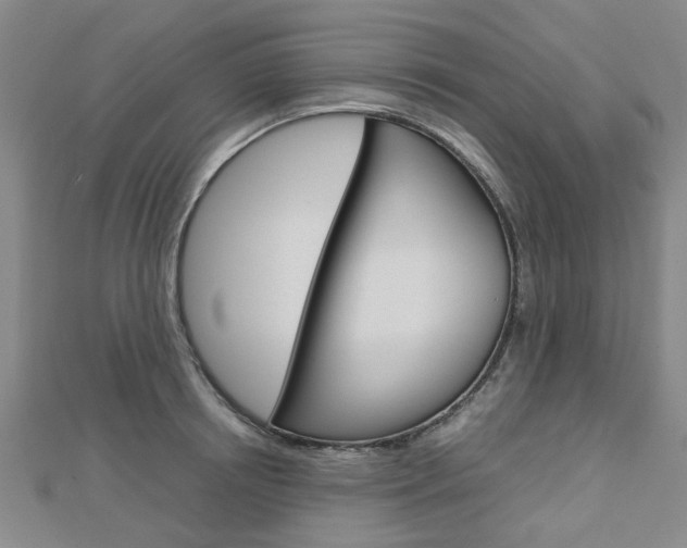 X0000112730850200908201012
