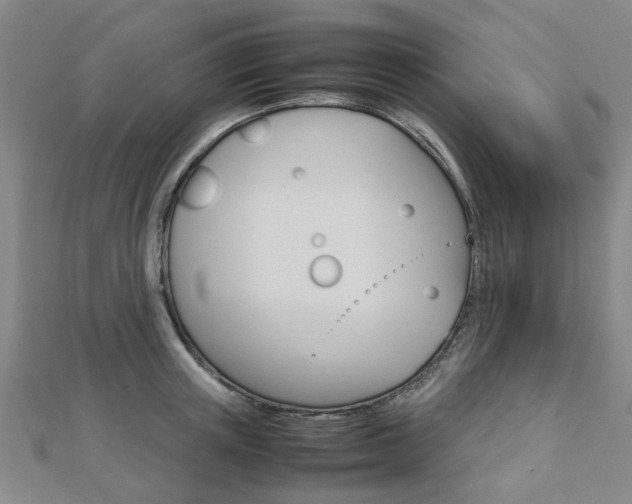 X0000112730851200908201012