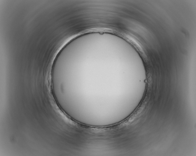 X0000112730852200908201012