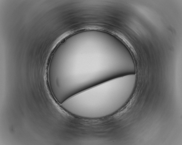 X0000112730853200908201012
