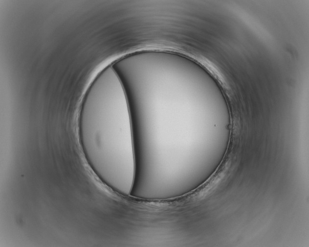 X0000112730854200908201012
