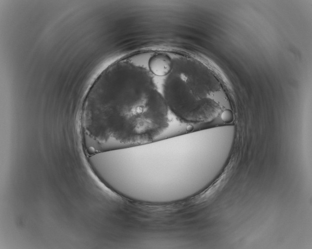X0000112730855200908201012