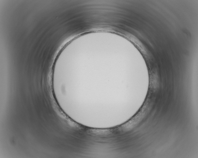 X0000112730856200908201012