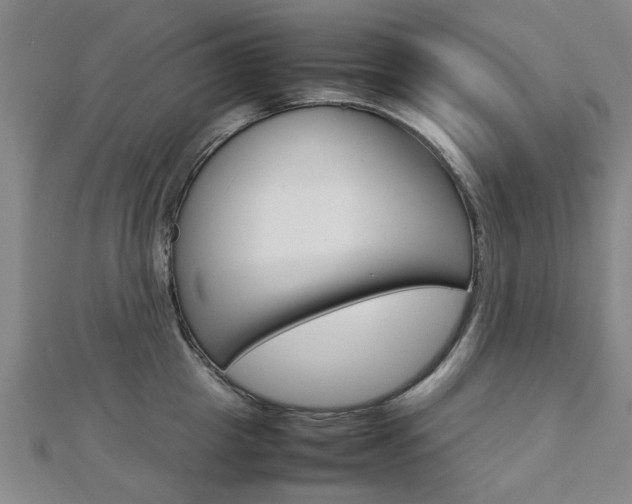 X0000112730857200908201012