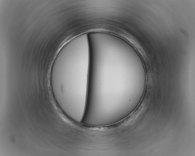 X0000112730858200908201012