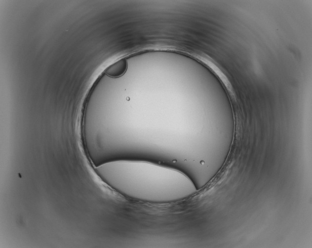 X0000112730861200908201012