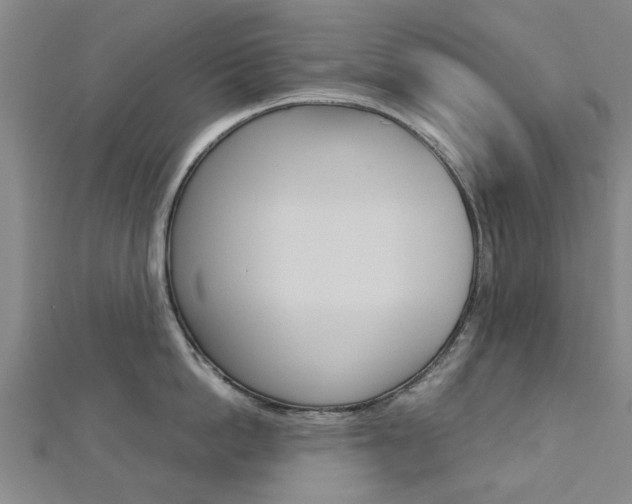 X0000112730862200908201012