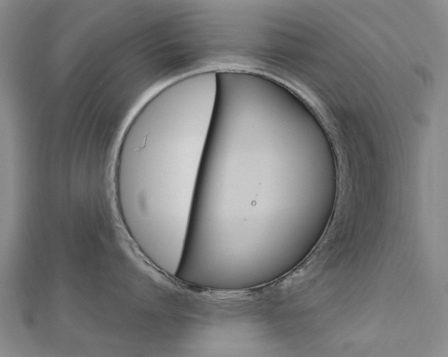 X0000112730864200908201012