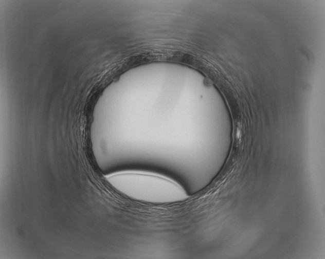 X0000112730867200908201011