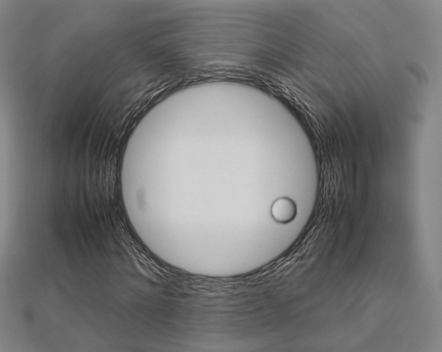 X0000112730868200908201011