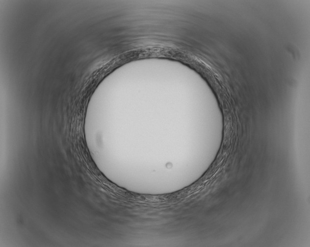X0000112730869200908201011