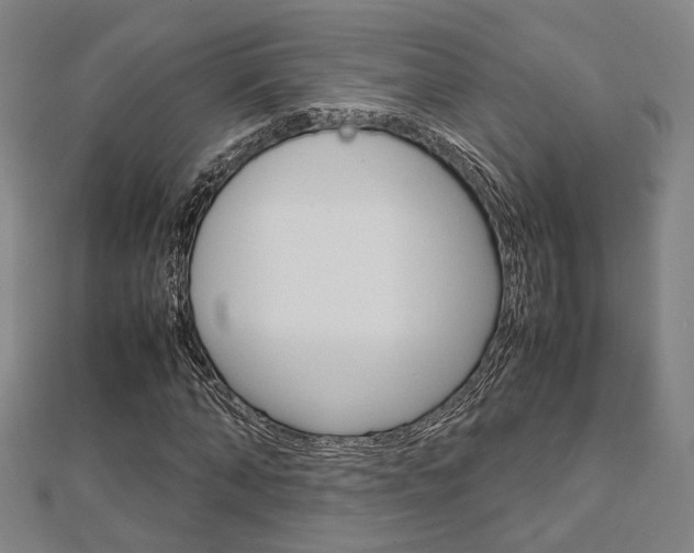 X0000112730870200908201011