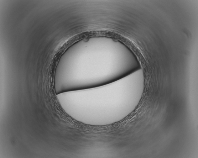 X0000112730871200908201011