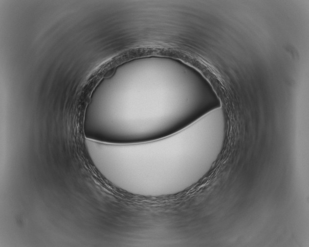 X0000112730872200908201011