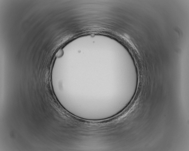 X0000112730873200908201011