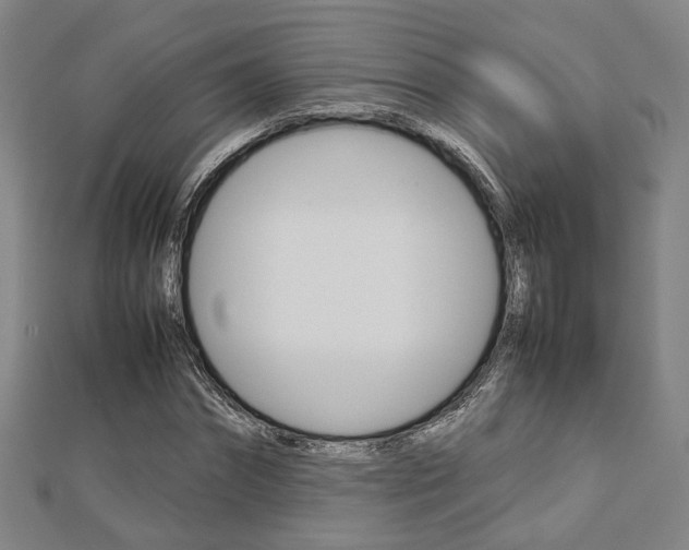 X0000112730874200908201011