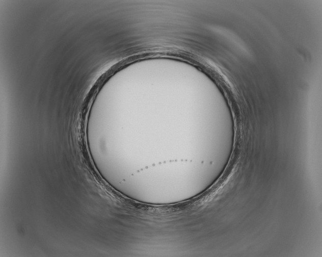 X0000112730875200908201011