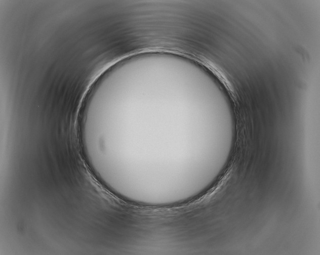 X0000112730876200908201011