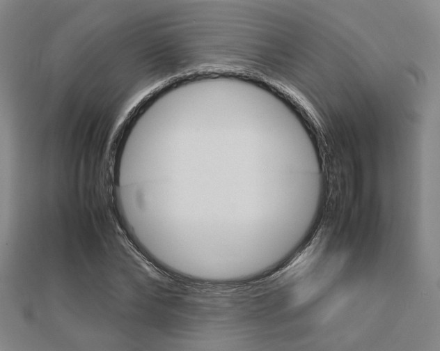 X0000112730878200908201011