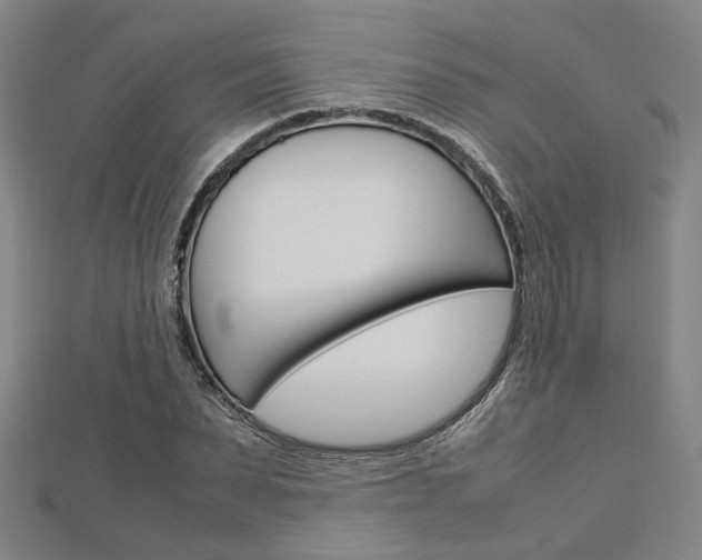 X0000112730879200908201011