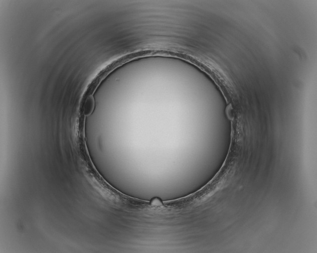X0000112730880200908201011