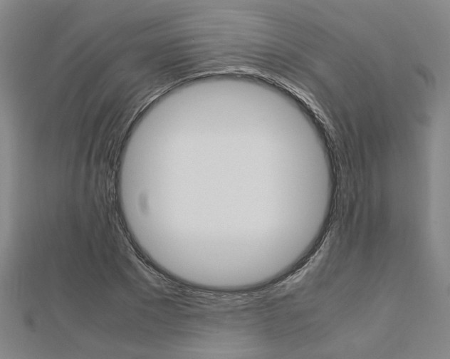 X0000112730881200908201011