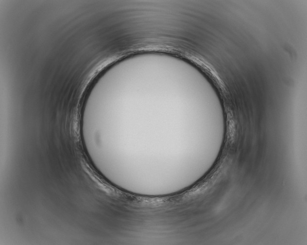 X0000112730882200908201011