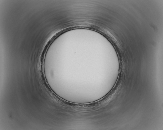 X0000112730883200908201011