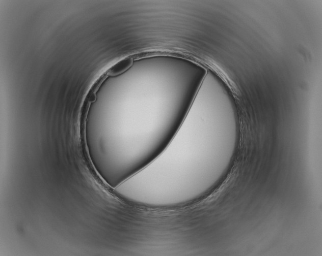 X0000112730884200908201011