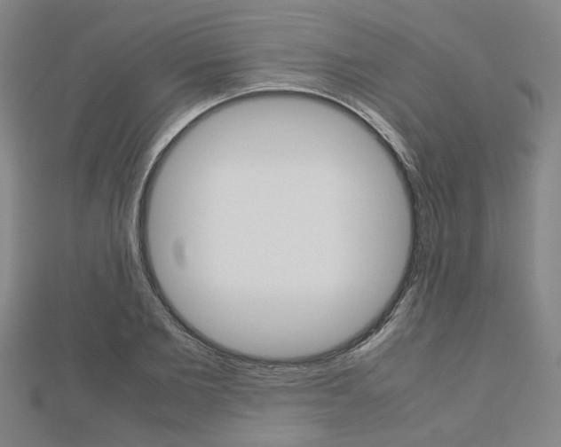 X0000112730885200908201011