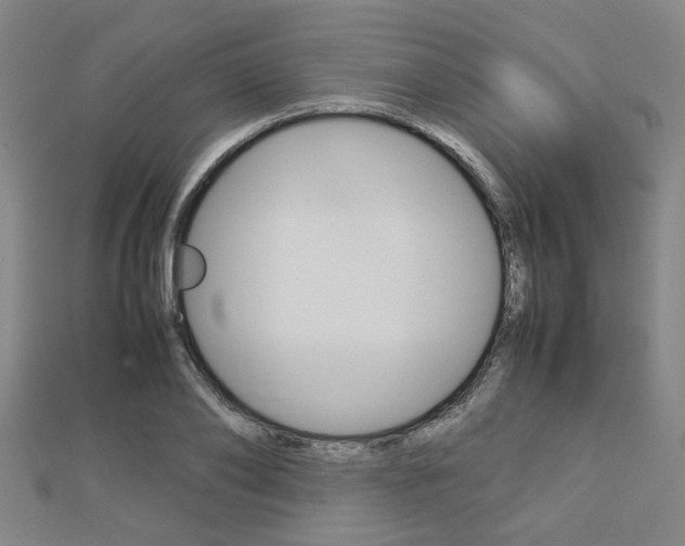 X0000112730886200908201011