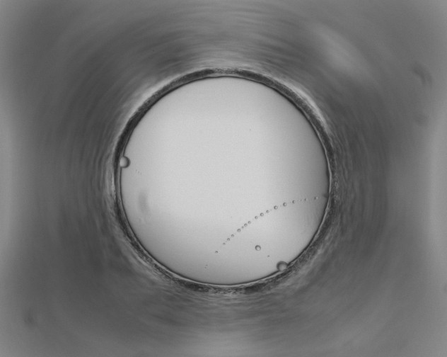 X0000112730887200908201011