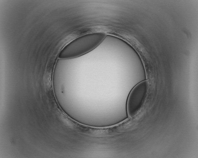 X0000112730889200908201011