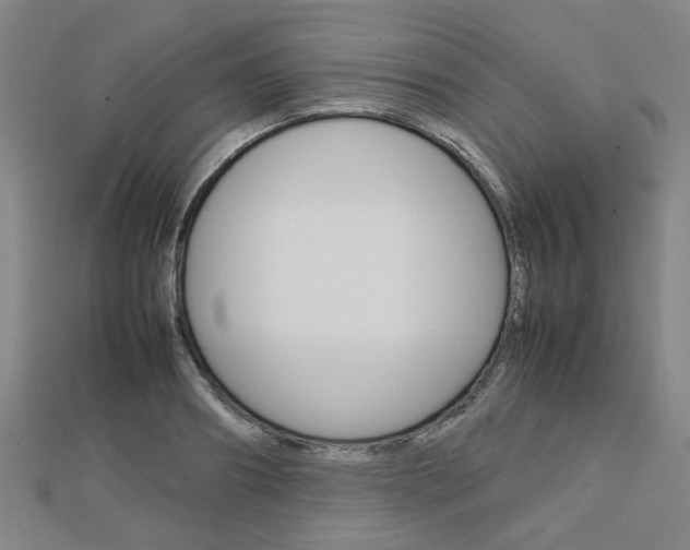 X0000112730890200908201011