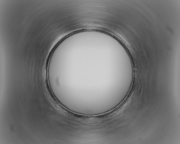 X0000112730891200908201011