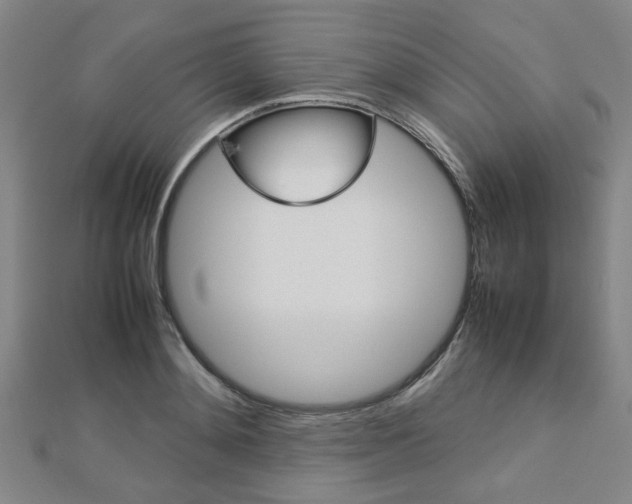 X0000112730892200908201011