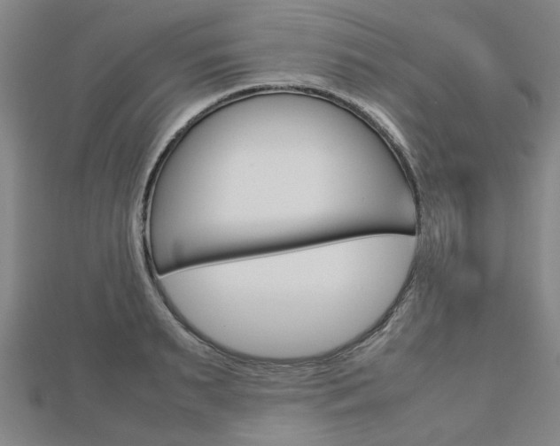 X0000112730895200908201011