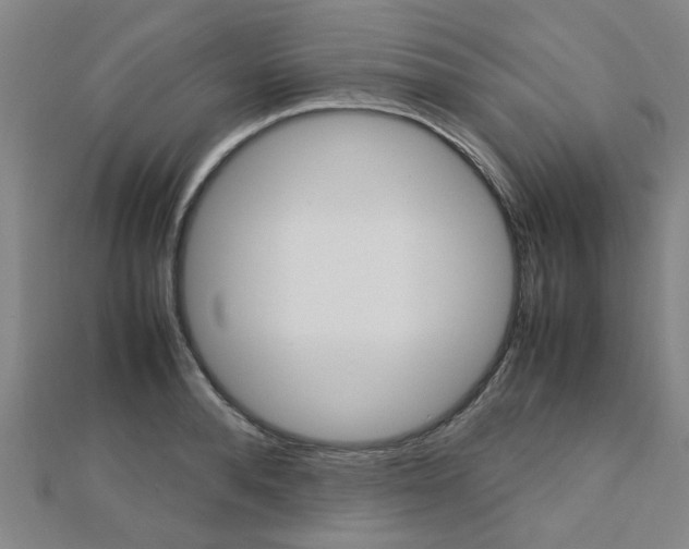 X0000112730896200908201011