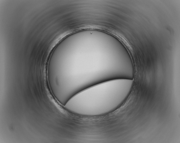 X0000112730898200908201011