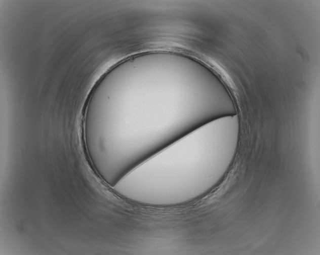 X0000112730899200908201011