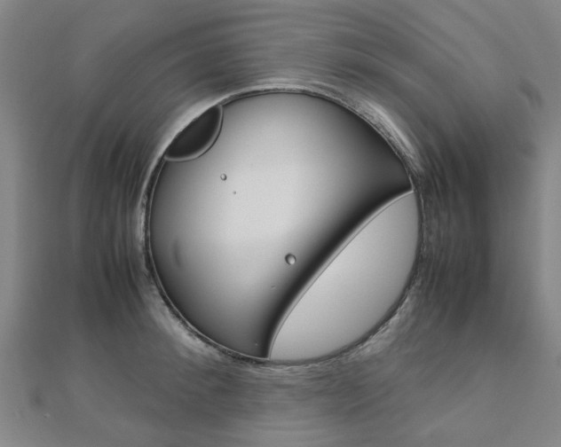 X0000112730900200908201011
