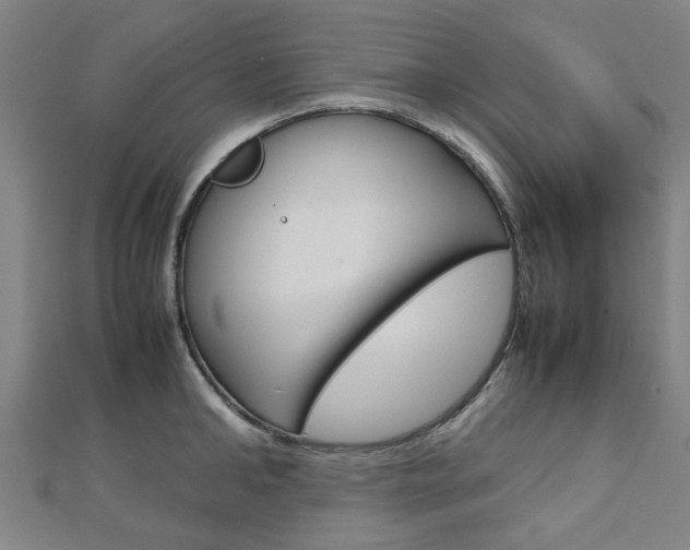 X0000112730902200908201011