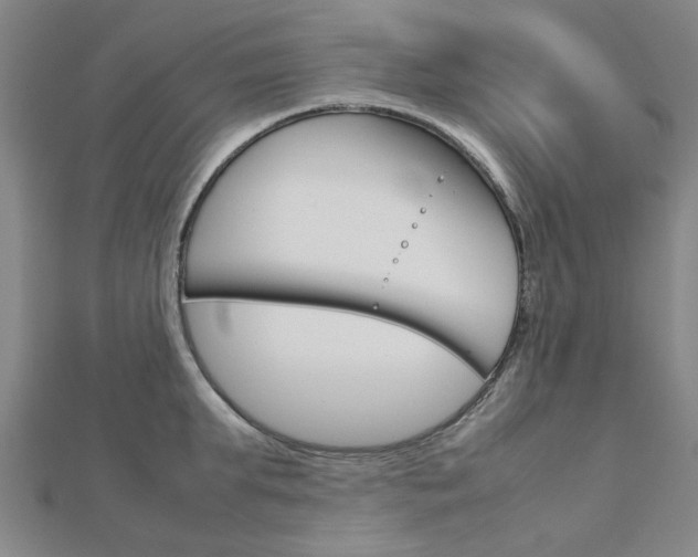 X0000112730903200908201011