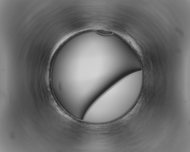 X0000112730904200908201011