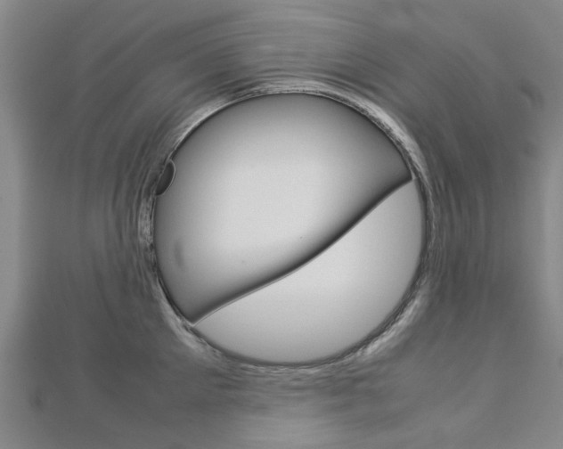 X0000112730905200908201011
