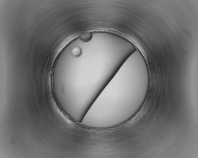 X0000112730906200908201010