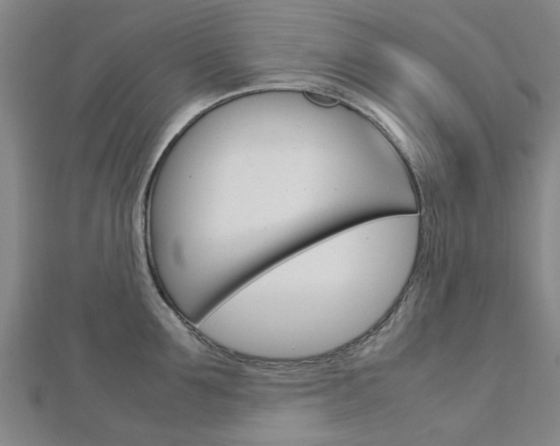 X0000112730907200908201010