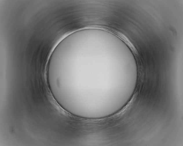 X0000112730908200908201010