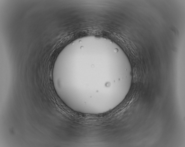 X0000112730913200908201010